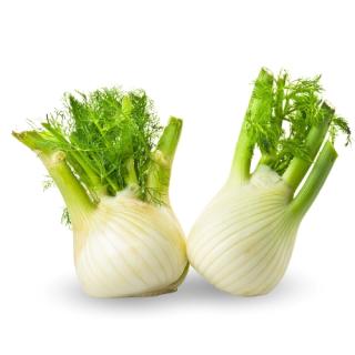 Fenchel