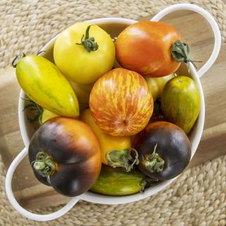 Historischer Tomaten Mix, eigener Anbau