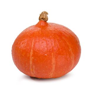 Kürbis Hokkaido rot, eigener Anbau