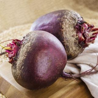 Rote Bete, eigener Anbau