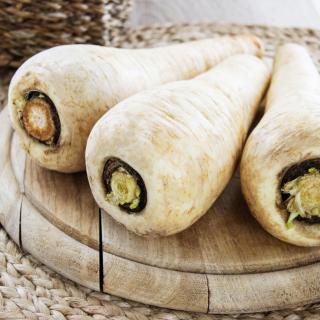 Pastinaken, eigener Anbau