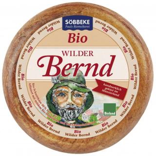 Wilder Bernd - Münsterländer