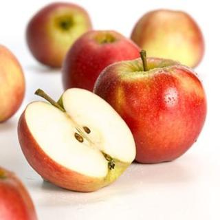 Apfel Elstar