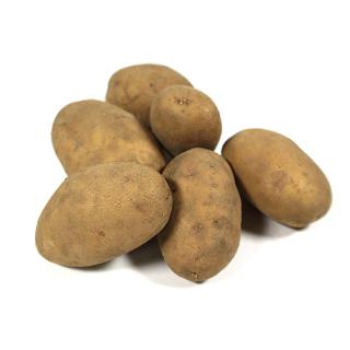 Speisekartoffeln Linda